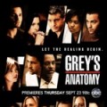 Sondage Grey's Anatomy